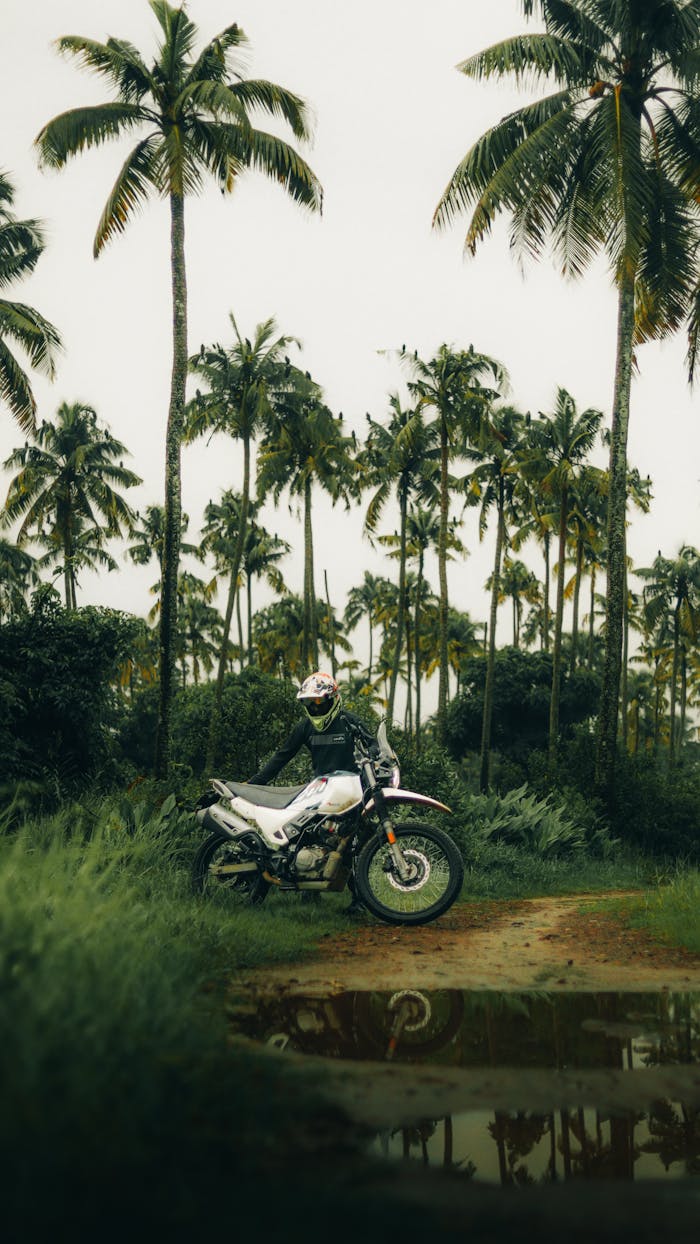 motorcyclist-amidst-serene-palm-tree-landscape-33006067