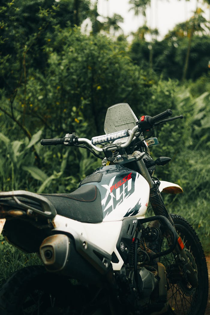 off-road-motorcycle-in-lush-forest-setting-33006072
